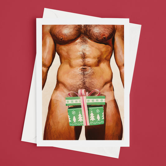 Dick In A Box Greeting Cards (Pack of 10)