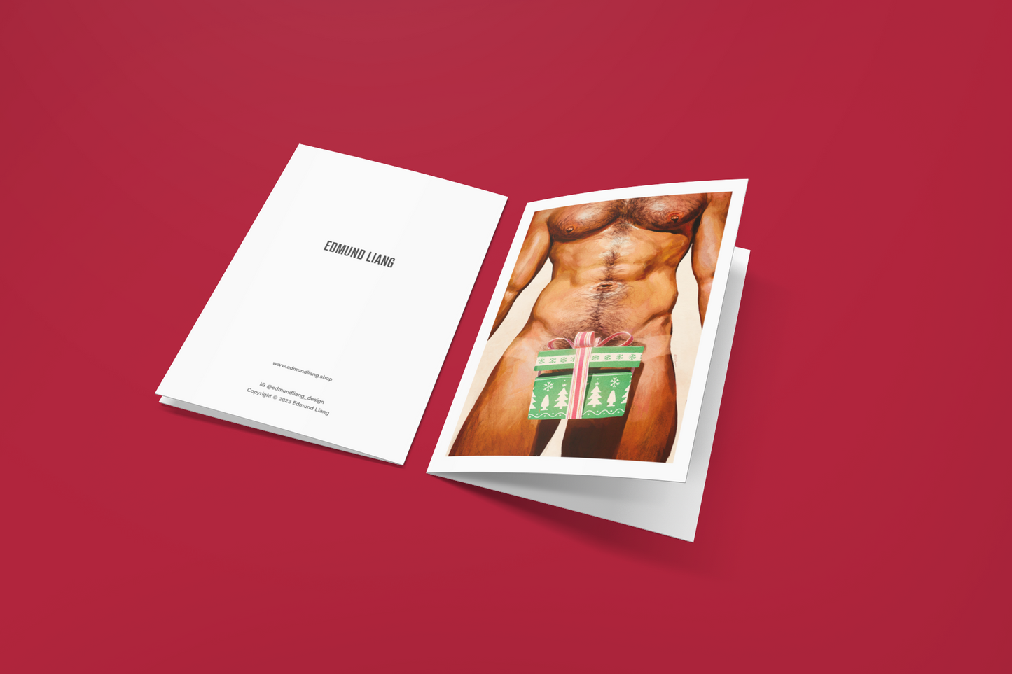 Dick In A Box Greeting Cards (Pack of 10)