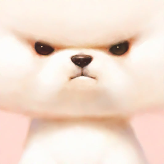 Bichon Frisé Print