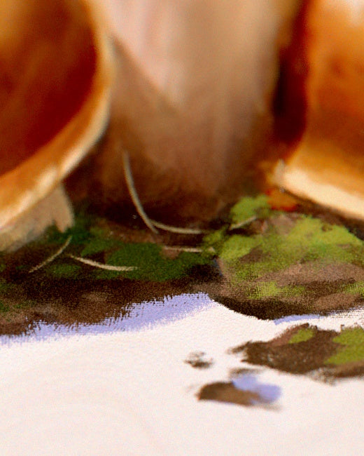 Magic Mushroom Print