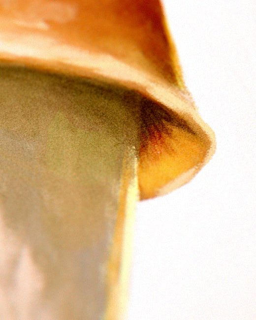 Magic Mushroom Print