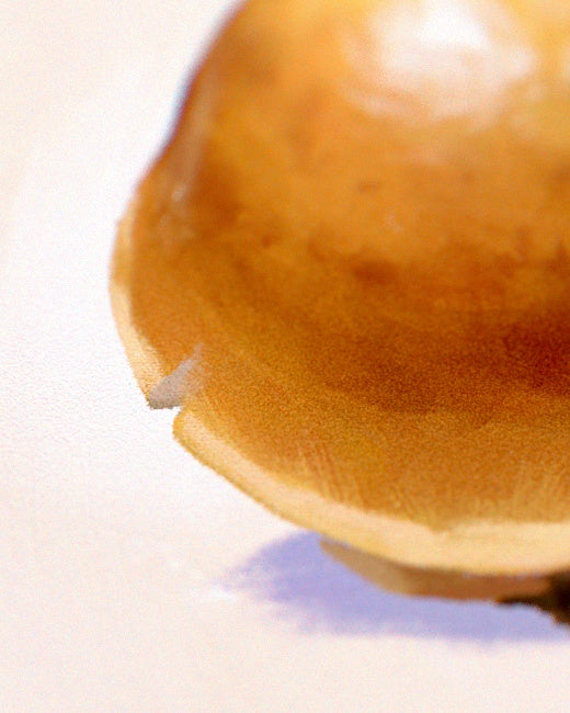 Magic Mushroom Print
