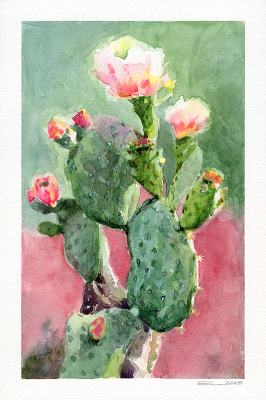 watercolor prickly pear cactus Prickly Pear Cactus Study – Edmund Liang
