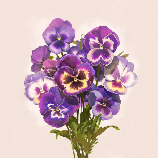 Purple Pansies Print