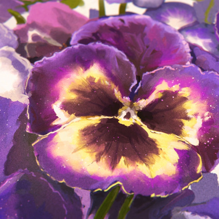 Purple Pansies Print