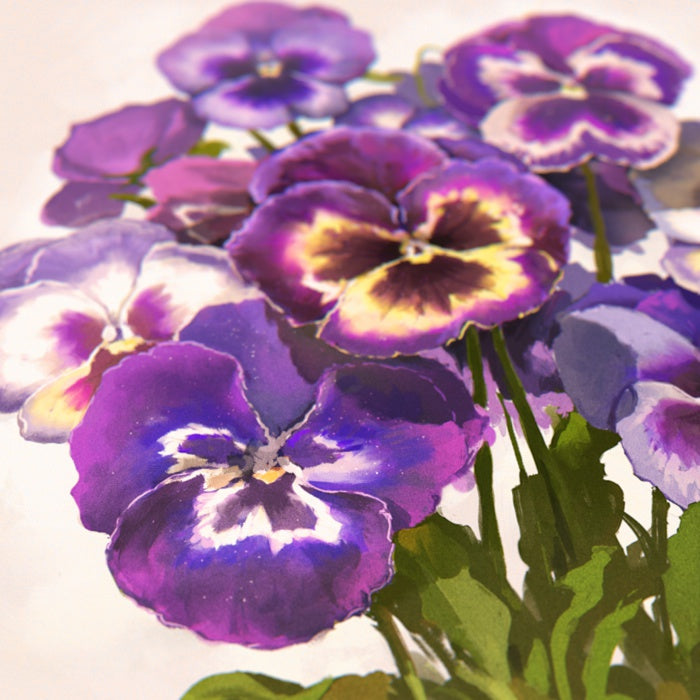 Purple Pansies Print