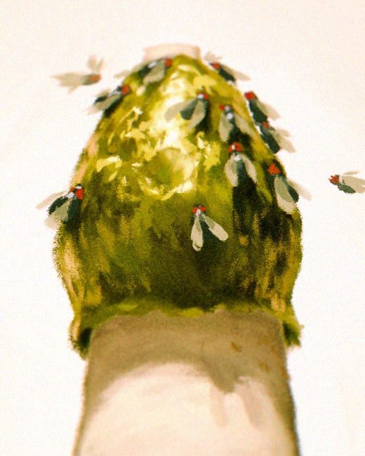 Stinkhorn Mushroom Print