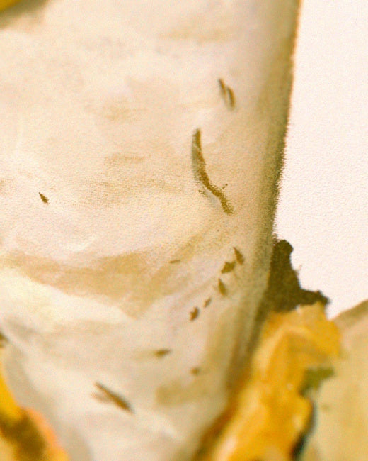 Stinkhorn Mushroom Print