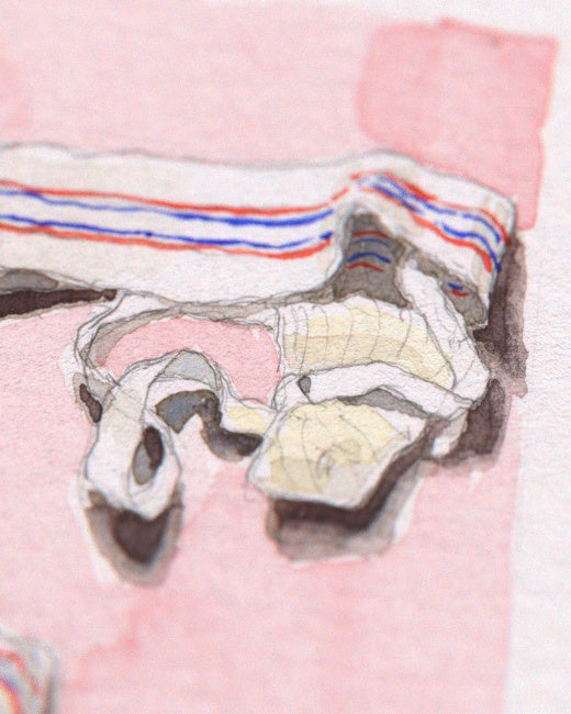 Used Jockstraps Study