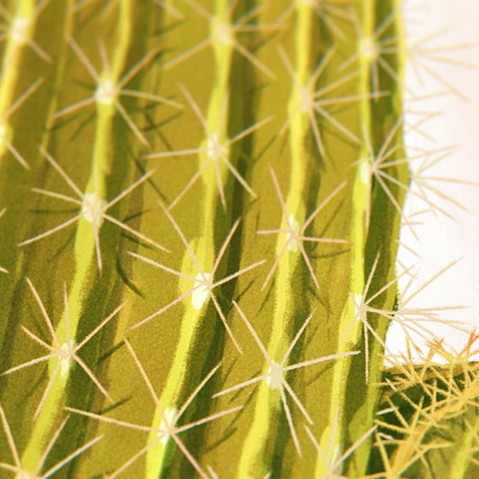 Cactus Print