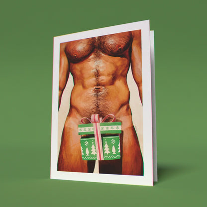 Dick In A Box Greeting Cards (Pack of 10)