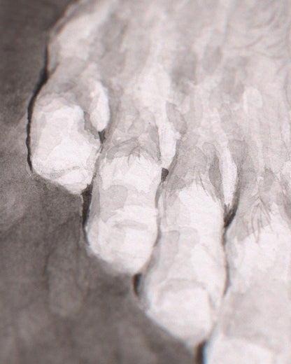 Barefoot Study