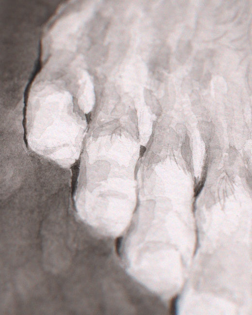 Barefoot Study