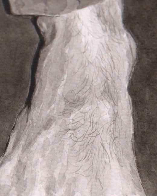 Barefoot Study