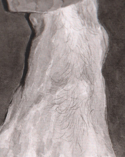 Barefoot Study