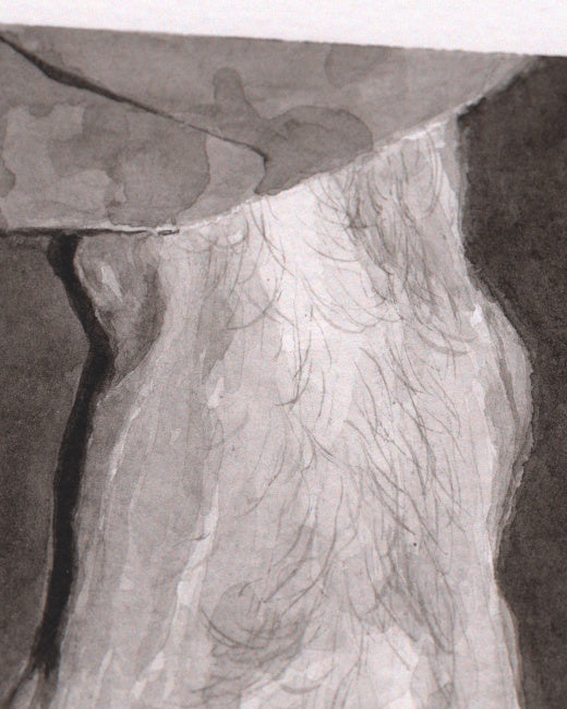 Barefoot Study