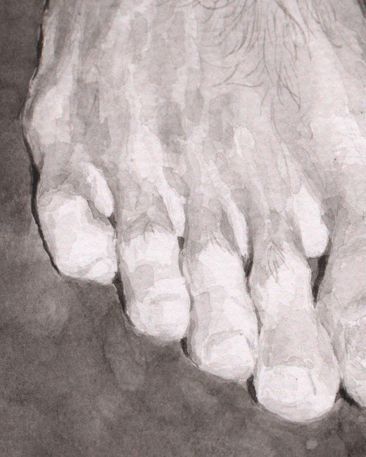 Barefoot Study