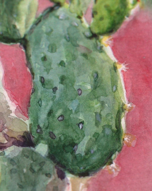 Prickly Pear Cactus Study