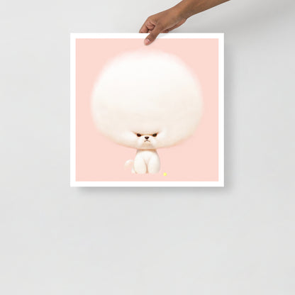 Bichon Frisé Print