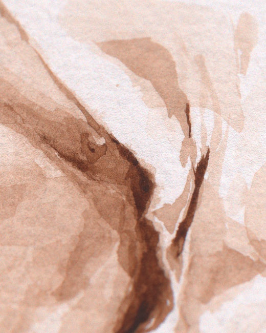 Study of Helder