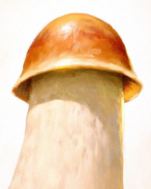 Magic Mushroom Print
