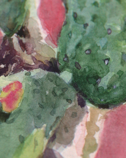 Prickly Pear Cactus Study