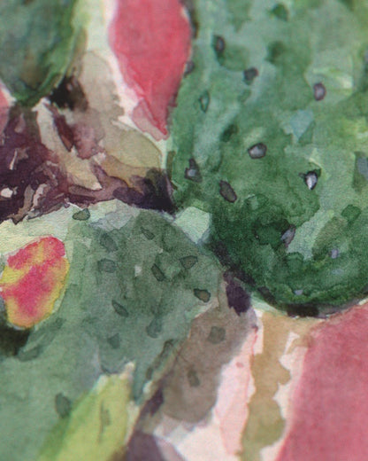 Prickly Pear Cactus Study