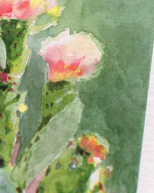 Prickly Pear Cactus Study