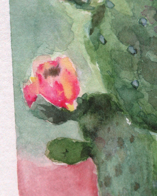 Prickly Pear Cactus Study