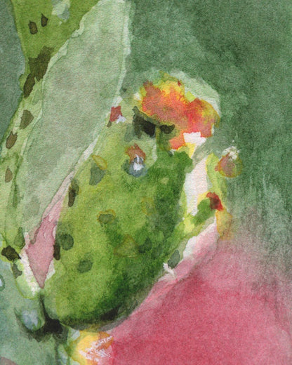 Prickly Pear Cactus Study