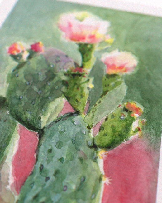 Prickly Pear Cactus Study