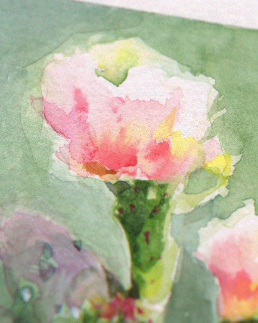 Prickly Pear Cactus Study