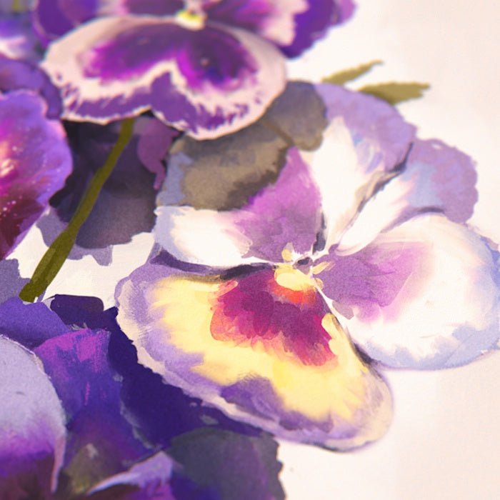 Purple Pansies Print