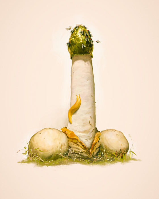 Stinkhorn Mushroom Print