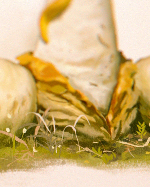 Stinkhorn Mushroom Print