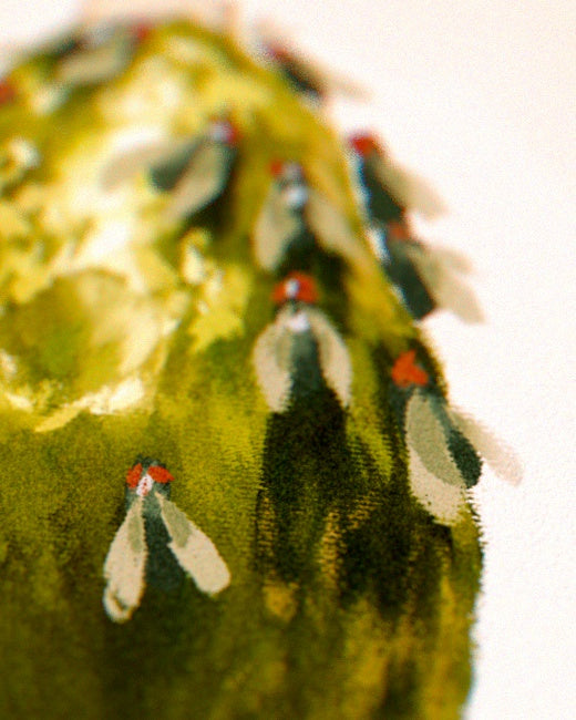 Stinkhorn Mushroom Print