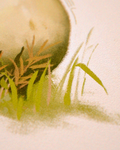 Stinkhorn Mushroom Print