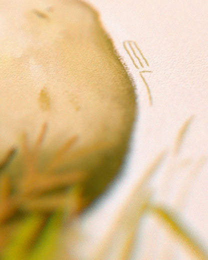 Stinkhorn Mushroom Print