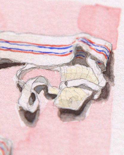 Used Jockstraps Study