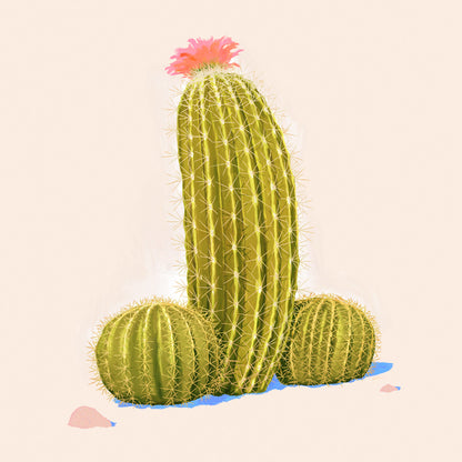 Cactus Print